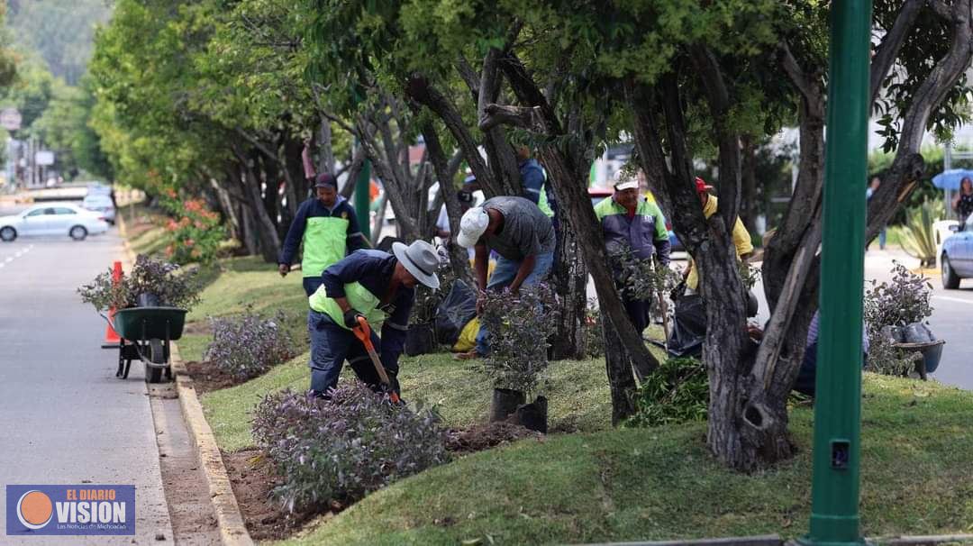 Realizan jornadas de limpieza en el Boulevard Arriaga Rivera 