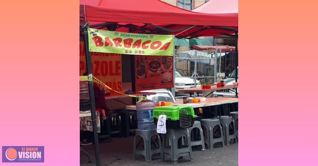 Venta de mascotas y barbacoa en Tarímbaro