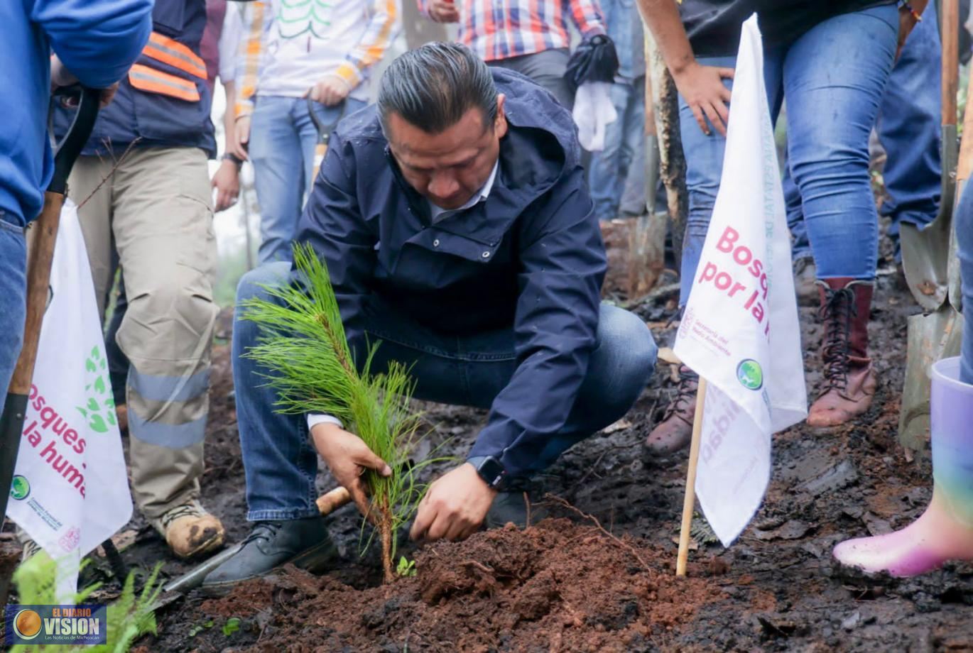 Encabeza Torres Piña reforestación en cerro La Mezcalera