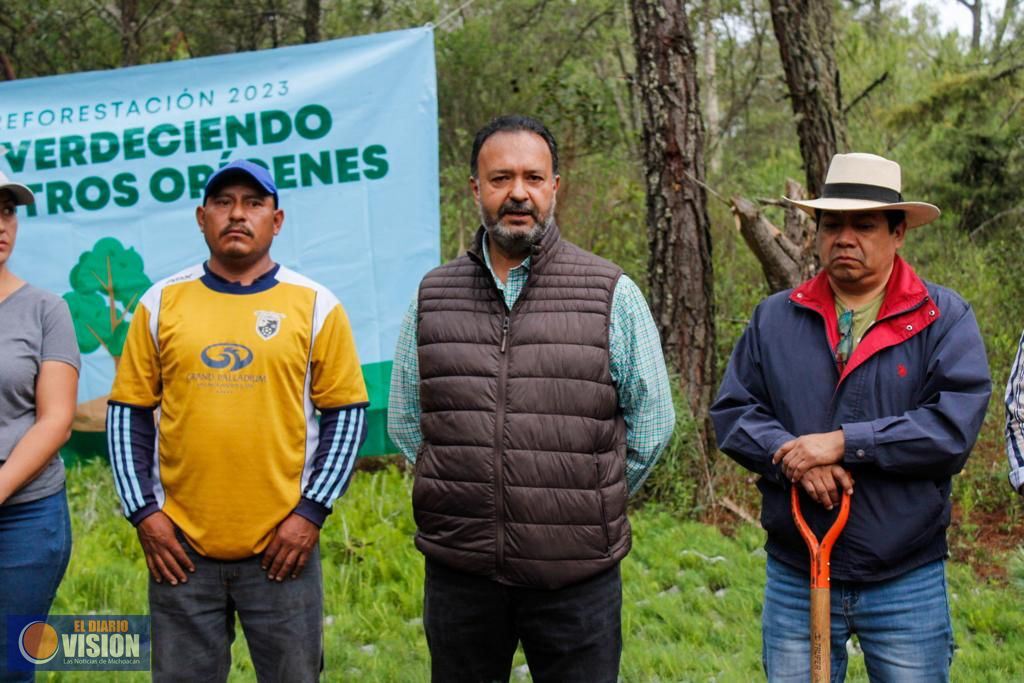 Lleva gobierno de Pátzcuaro encabezado por Julio Arreola  reforestación a San Juan Tumbio