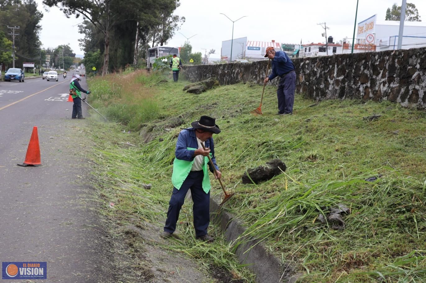 Gobierno de Morelia embellece camellones de la salida a Charo