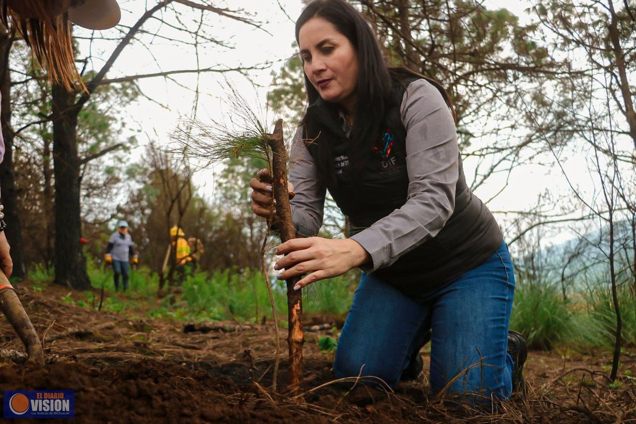 Yadira Ramírez encabeza jornada de reforestación en el Icatmi de Corupo