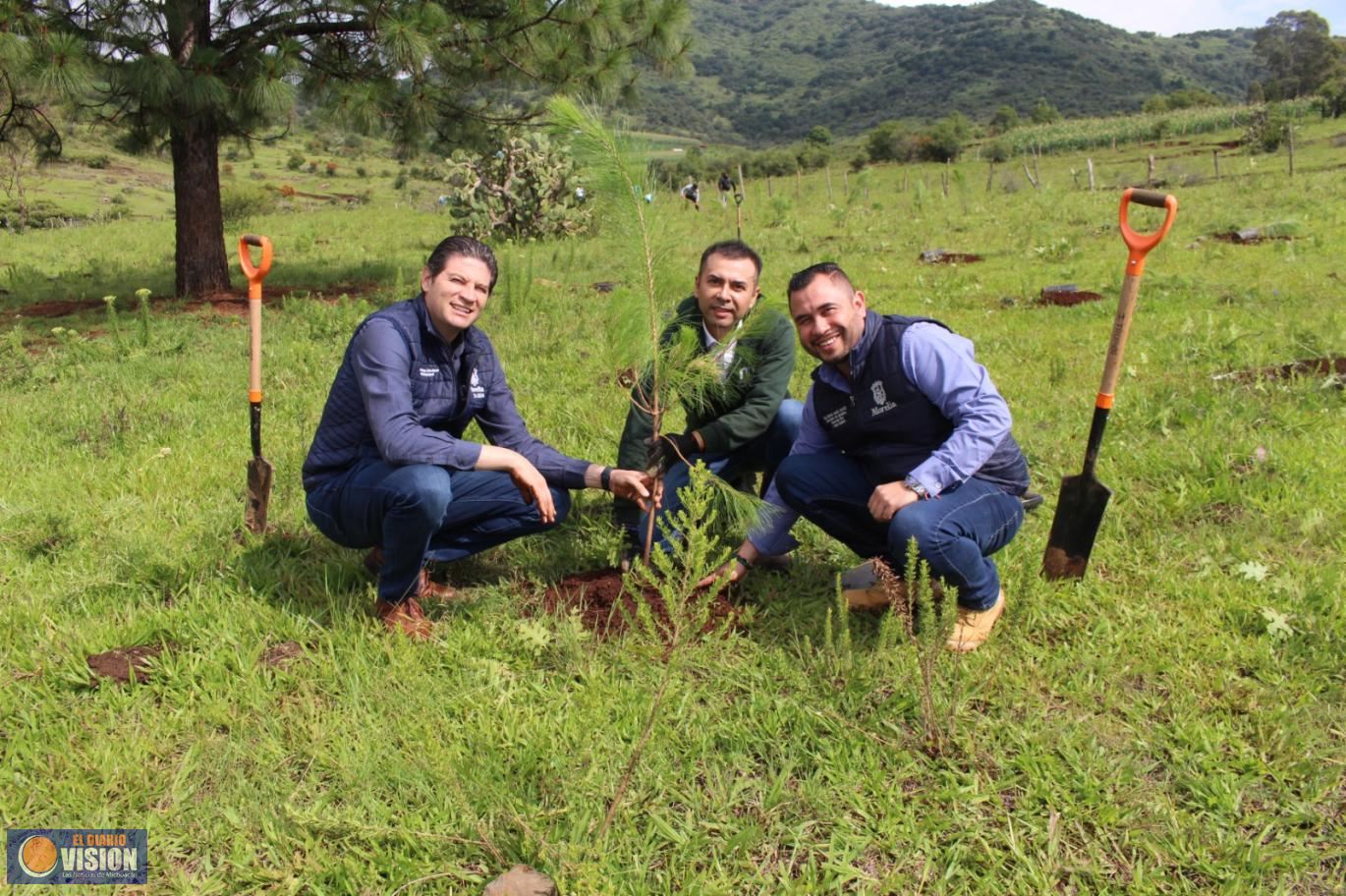 Gobierno Municipal rebasa meta de 700 mil árboles plantados en Morelia