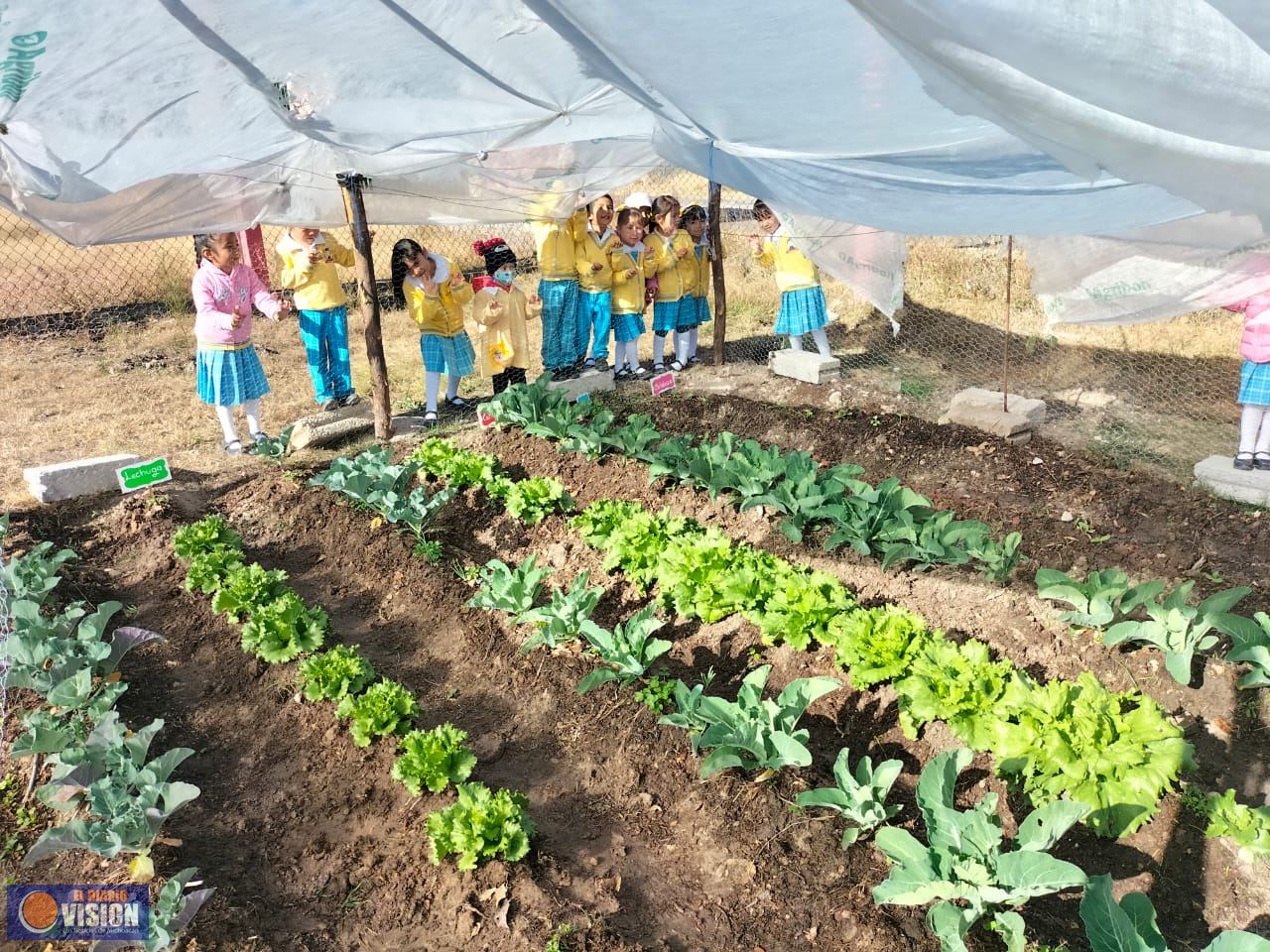 Escuela con premio nacional impulsa proyecto ambiental en Michoacán