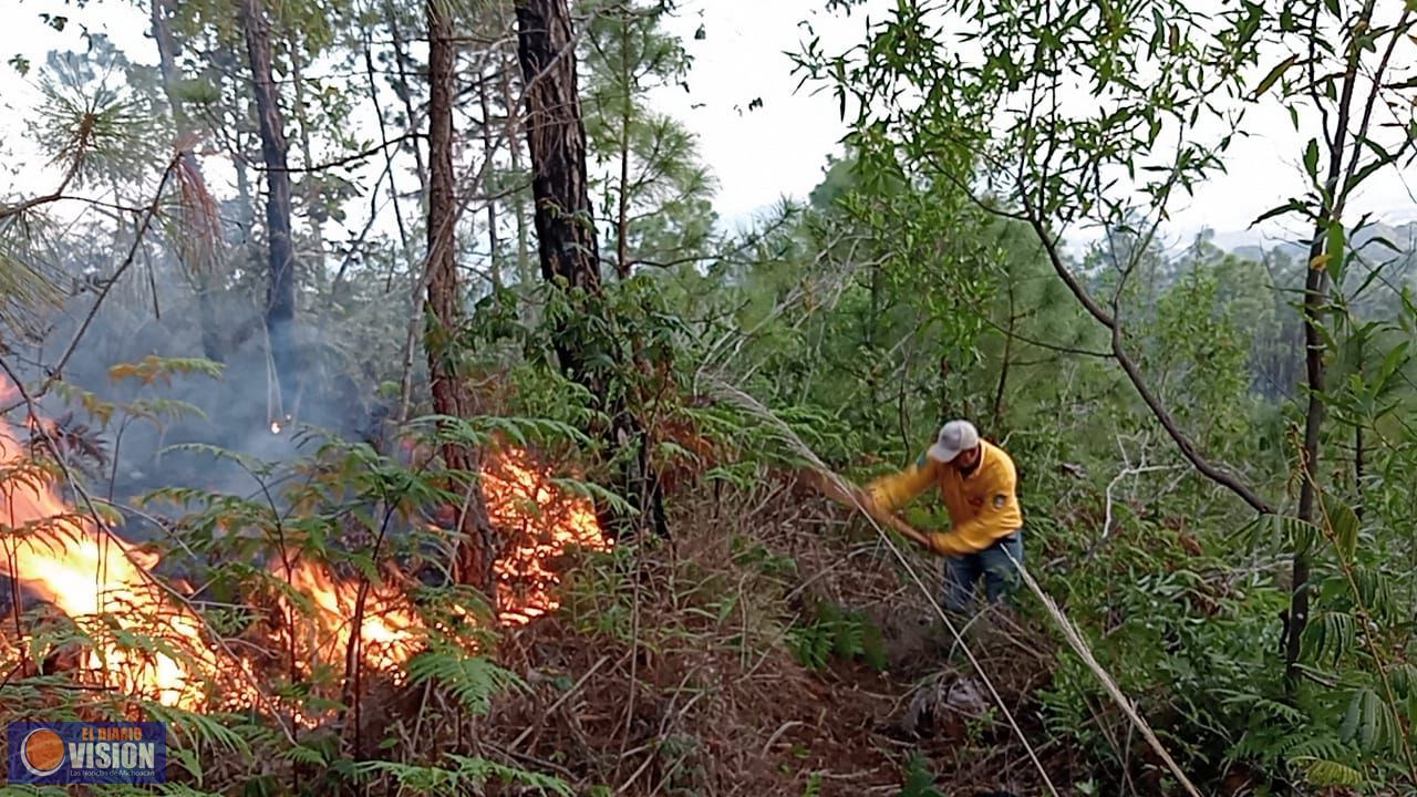 Sofocan el primer incendio de la temporada