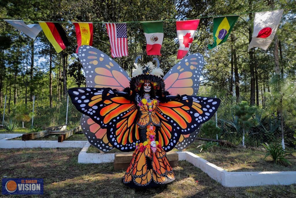 La Mariposa Monarca llega a tiempo a su cita en los bosques michoacanos