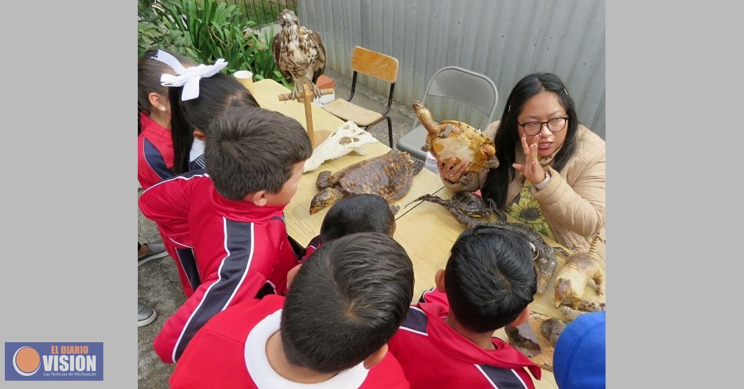 SEE acerca ciencia, arte, deportes y tecnología a las escuelas