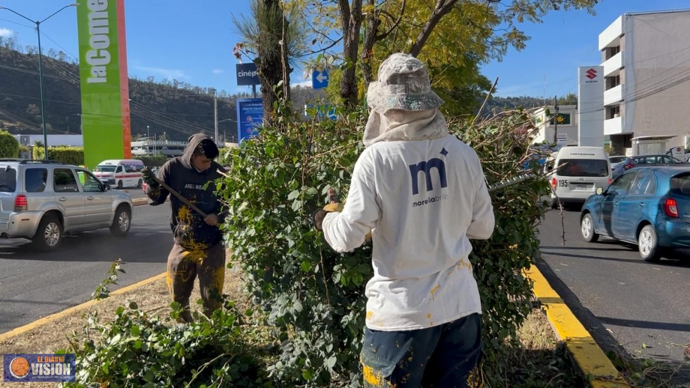 Realiza Gobierno Municipal acciones de mantenimiento y limpieza en Periférico Paseo de la República