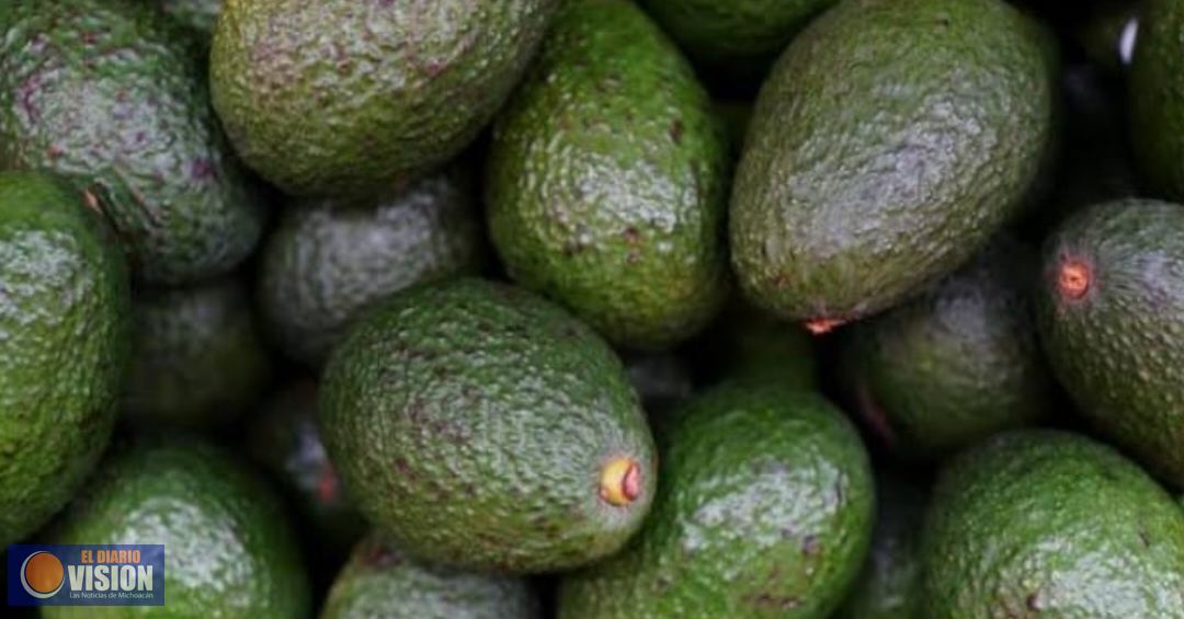 Michoacán enviará 130 mil toneladas de aguacate para el Super Bowl: Sader