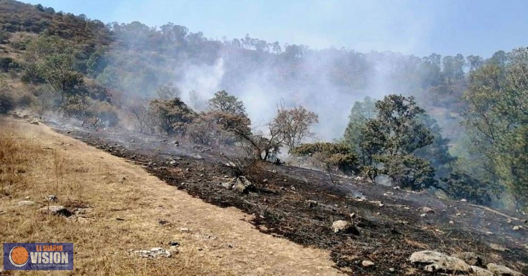 SSM emite recomendaciones ante el humo de incendios forestales