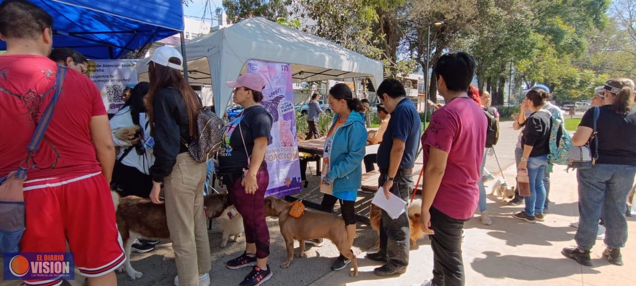 Morelia, primera ciudad de México con registro y acta de nacimiento de animales