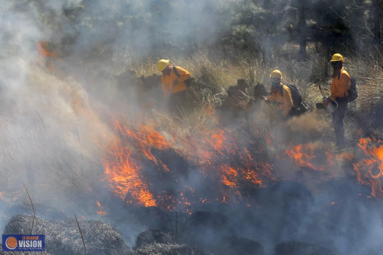 Brigadistas combaten incendio forestal en cerro de la Cruz, en Acuitzio