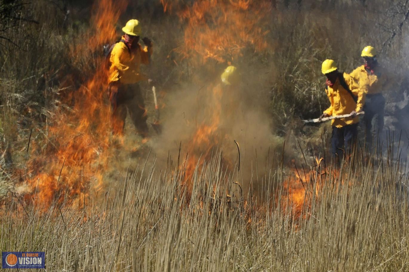 La incansable lucha contra el fuego de los brigadistas forestales