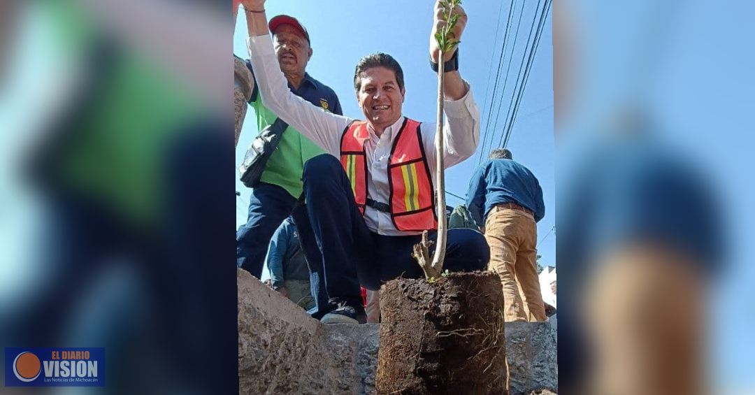 Invita gobierno de Morelia a sumarse al programa “Planta un Árbol en tu Banqueta