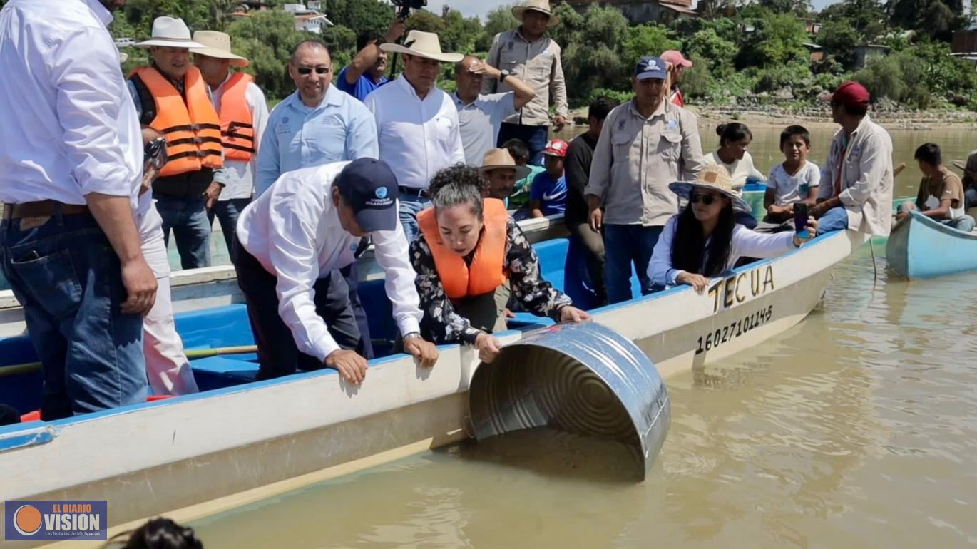 Arranca Gobierno estatal siembra de 50 mil crías de pescado blanco en el lago de Pátzcuaro