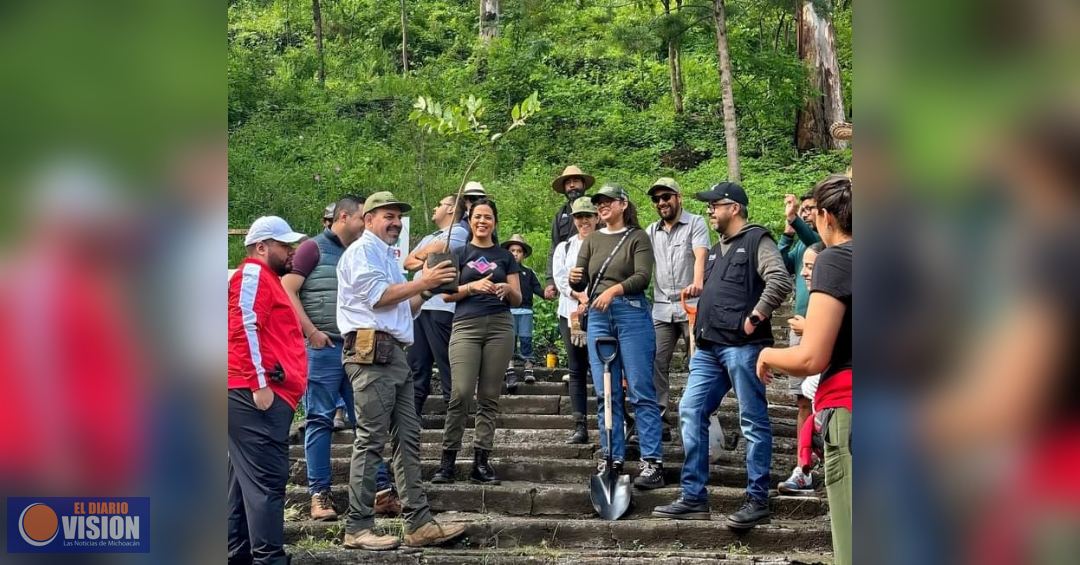 Gobierno estatal reforesta el Parque Francisco Zarco, en Morelia