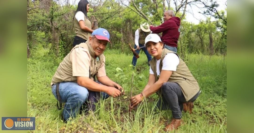 Suman esfuerzos para reforestar Áreas Naturales Protegidas en Morelia