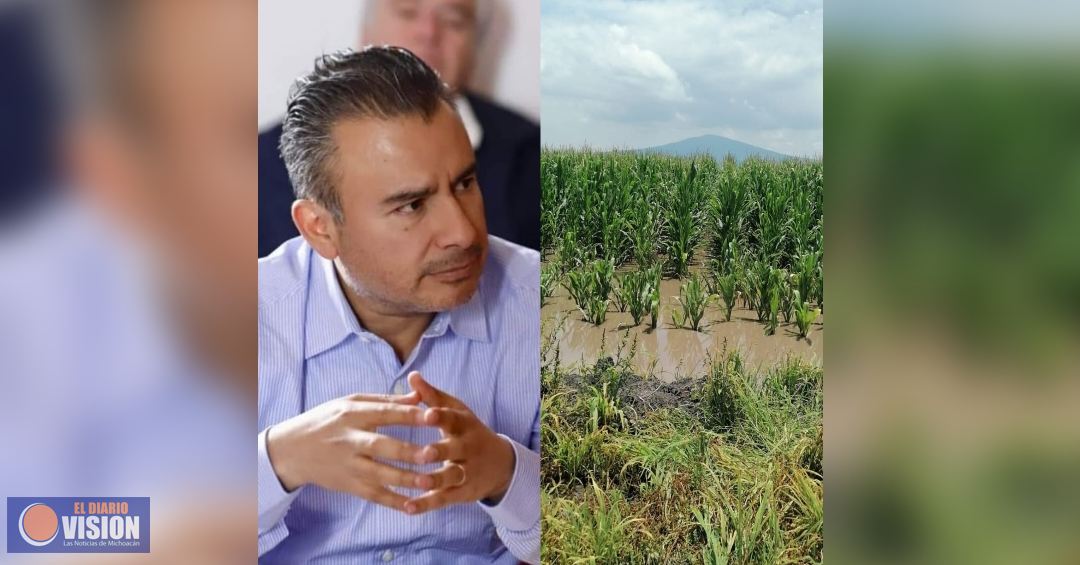 Urge atención a productores agrícolas por inundaciones en Michoacán: Fidel Calderón