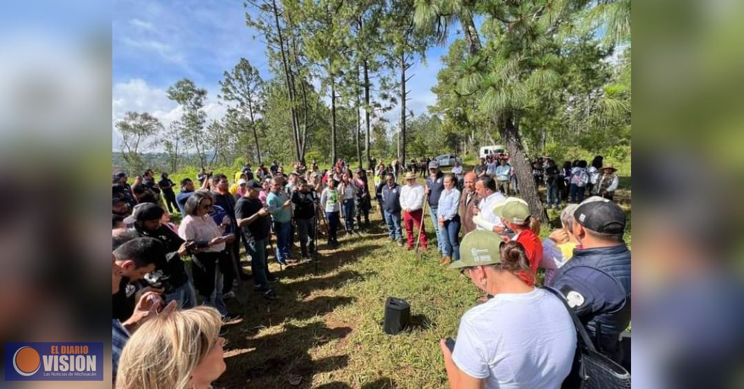 Reforestan cerro Blanco, área protegida para la conservación del lago de Pátzcuaro