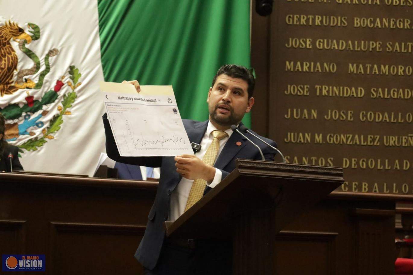 Propone Octavio Ocampo crear Institutos de Protección Animal  para erradicar violencia y maltrato