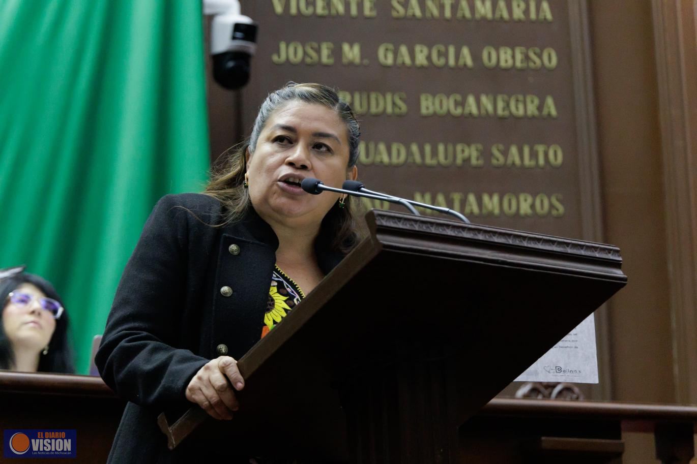 Busca Belinda Iturbide defender a ciudadanos de los cobros excesivos de la CFE