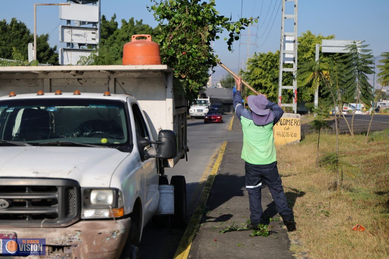 Brigadas de Morelia intervienen camellones del Libramiento Sur