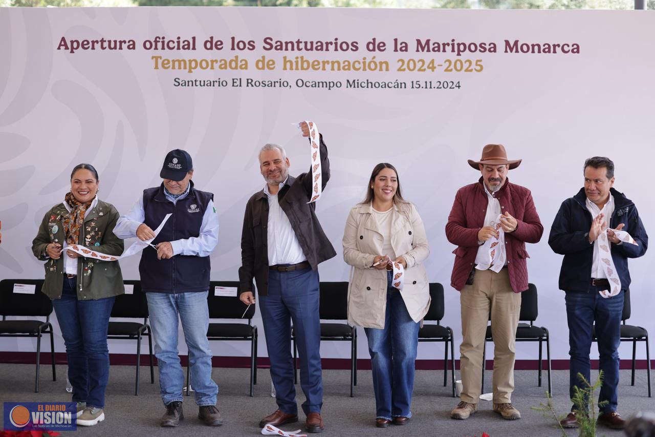 Ante millones de Mariposas Monarca, Michoacán vive un espectáculo único en el mundo: Bedolla