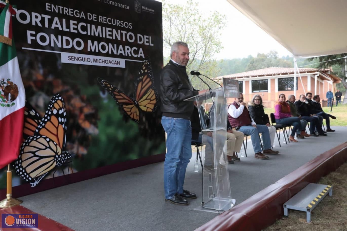 Con Fondo Monarca aumentó pago de servicios ambientales para cuidar la mariposa: Bedolla