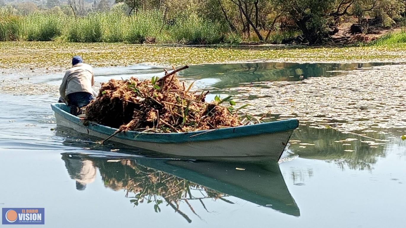 Avanza rescate de La Mintzita; extraídos más de mil metros cúbicos de maleza: Secma