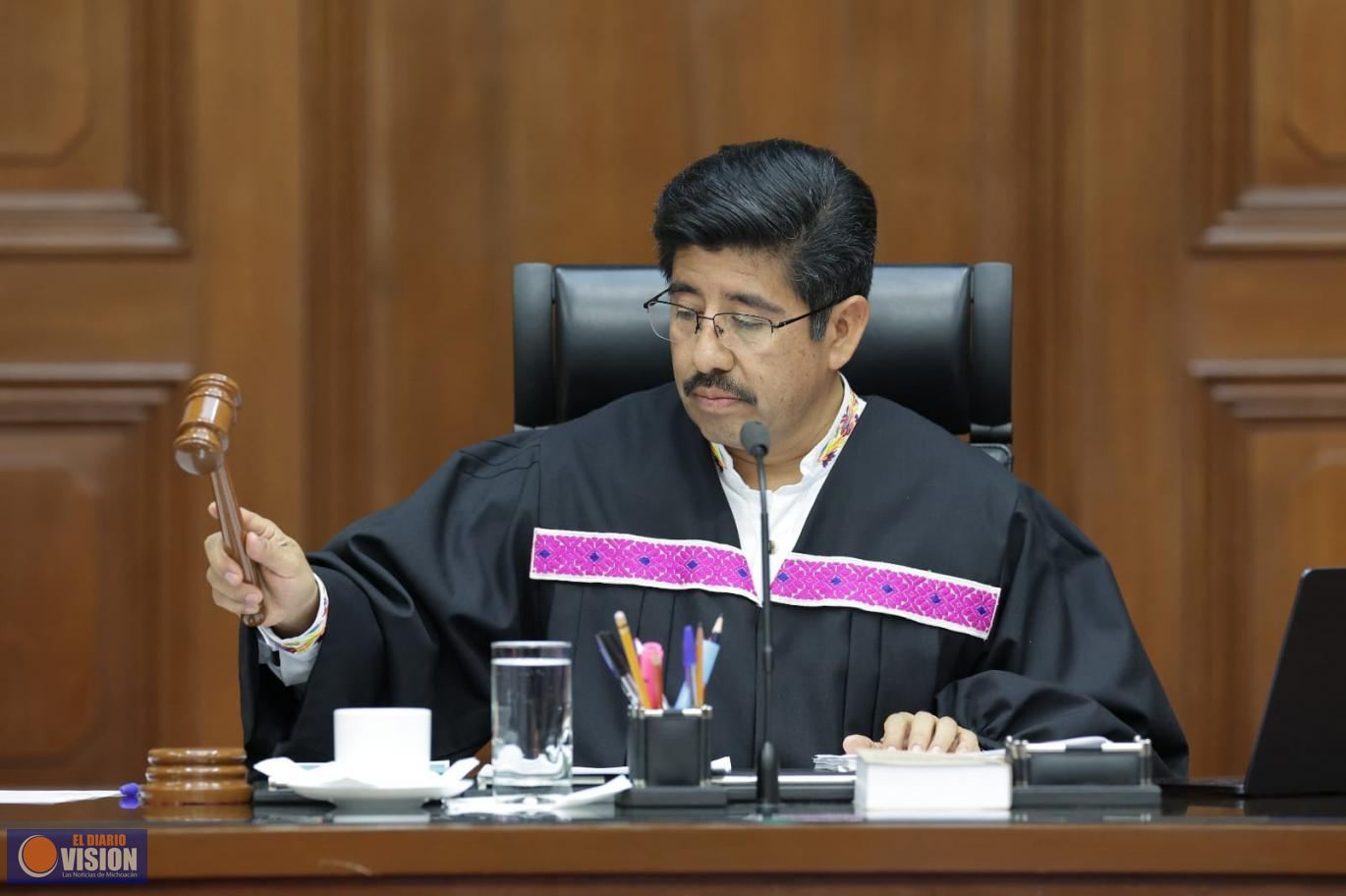 La SCJN resuelve asuntos sobre organización legislativa, acceso a cargos públicos, y transporte