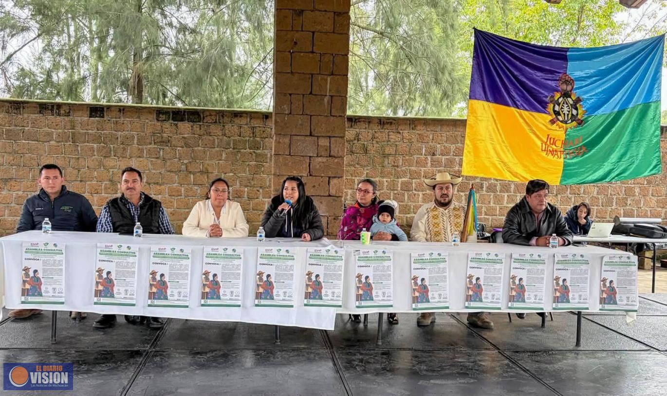 Blindan purhépechas, candidaturas contra simulación y usurpadores