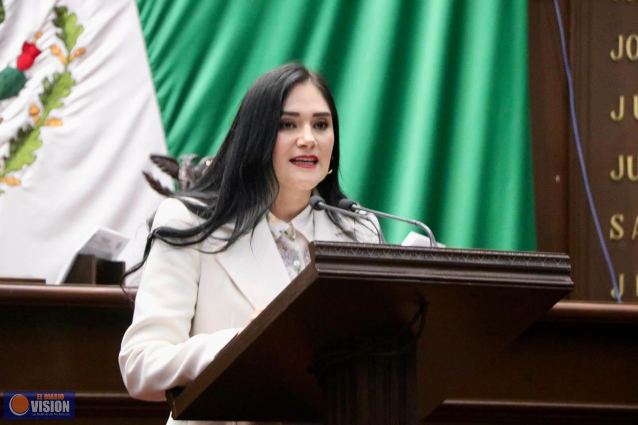 Propone Diana Espinoza, emplacamiento de origen para acabar con permisos irregulares