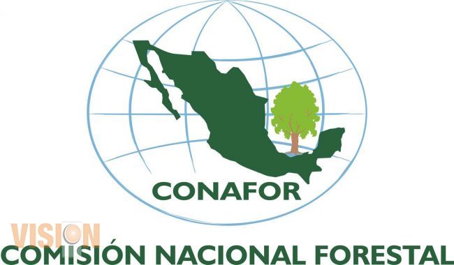 CONAFOR busca obtener Premio Nacional al Mérito Forestal 2013