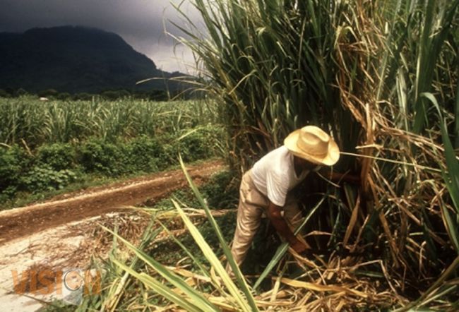 Acuerdan más de 542 mdp para fomentar el desarrollo rural sustentable de Michoacán  