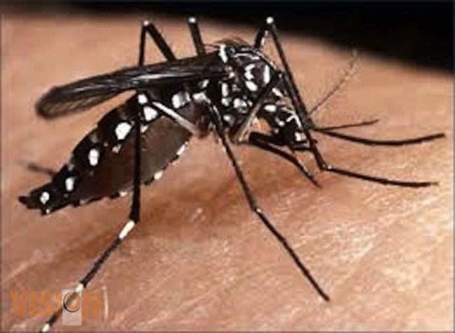 Michoacán se suma a la jornada contra el Dengue