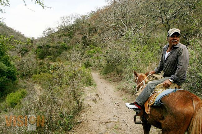 Programa de Reforestación Anual, mero acto mediático: MCDL