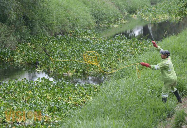 Trabajos diarios de limpieza de ríos y drenes en el Municipio.
