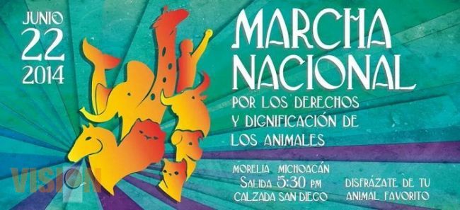 Llaman protectores de animales a participar en marcha nacional