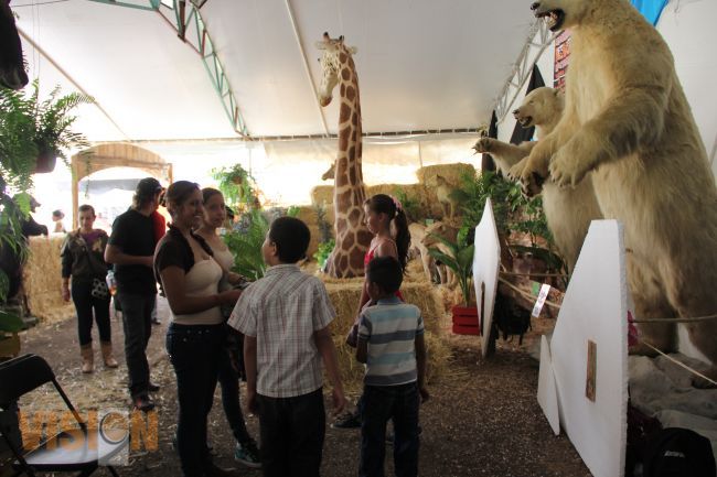 Taxidermia en la Expo Feria Michoacan2015