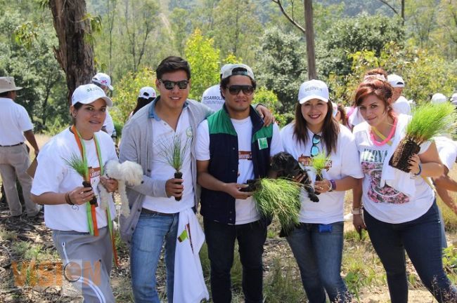 Jóvenes y Sejoven reforestan la Loma de Santa María 