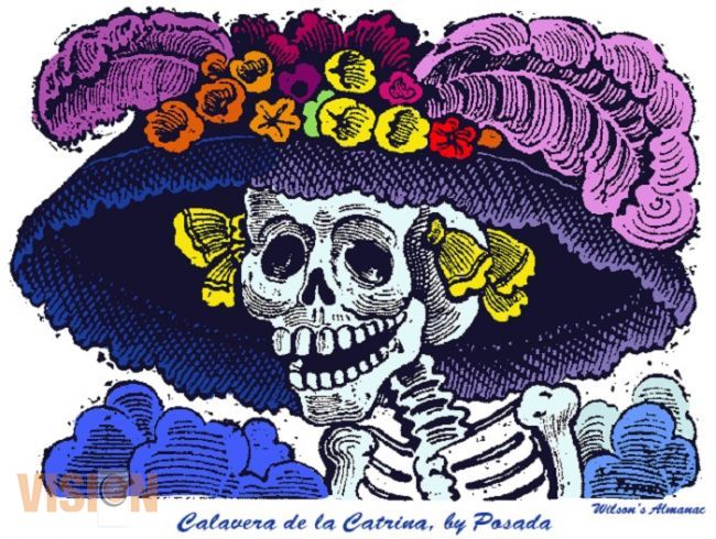 Calaveras para Visión de Michoacán 