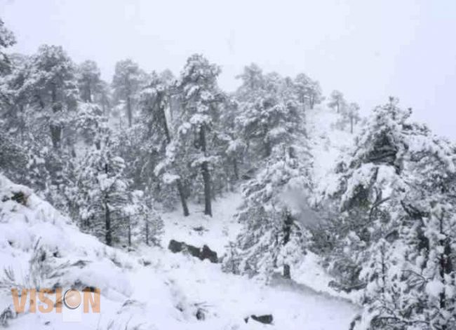 Seguirán el frío, nieve y lluvia por tormenta invernal 