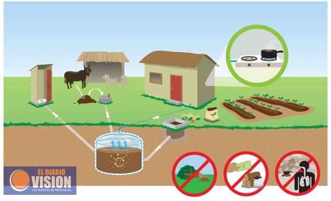 Michoacán, pionero a nivel mundial en la producción de biogás