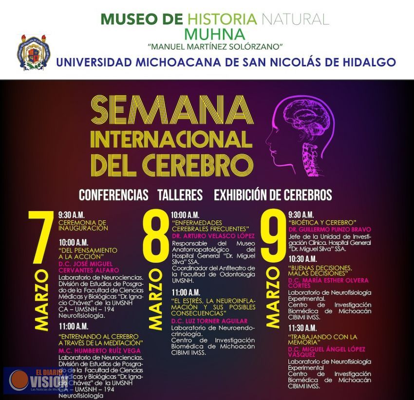 Ya viene la Semana Internacional del Cerebro en el Museo de Historia Natural