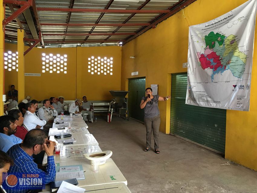 Identifican 10 actividades económicas potenciales en la cuenca del bajo Balsas