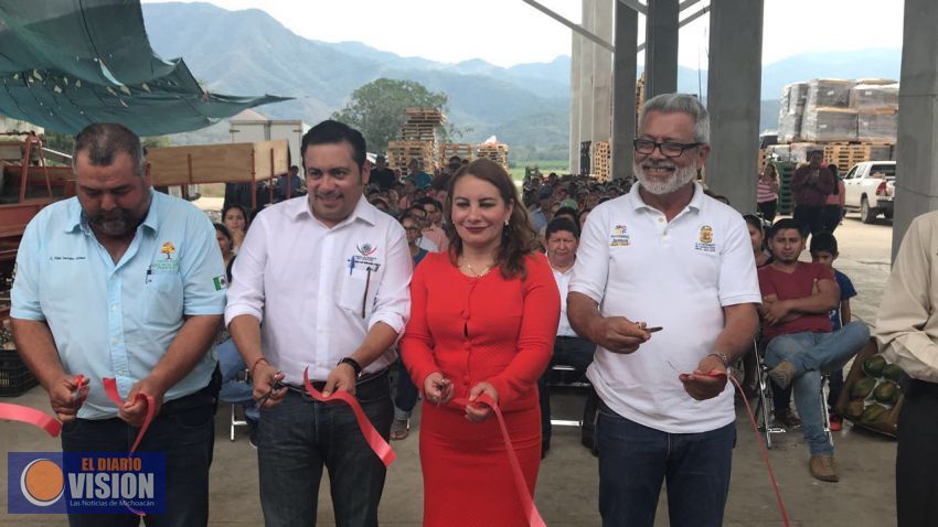 INAES contribuye a la exportación y producción de plátano