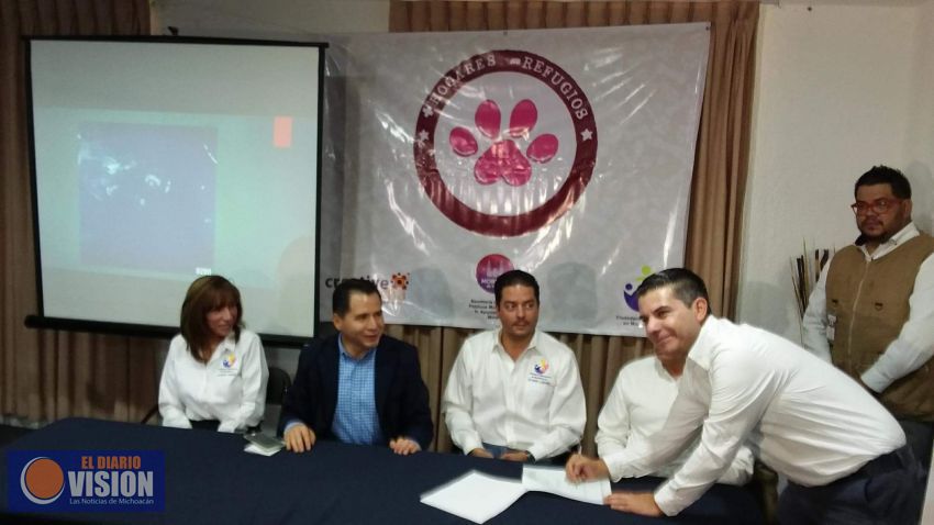 Ciudadanos Michoacanos en Movimiento busca hogar a animalitos desamparados