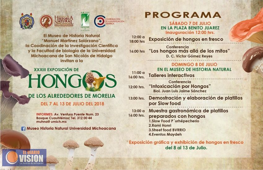 Esta semana exposición de Hongos de Morelia en la UMSNH