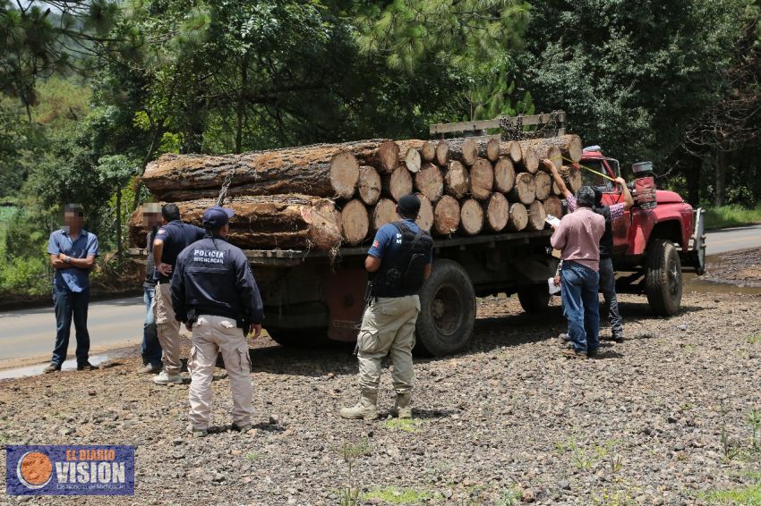 Avanza SSP en estrategia contra la tala ilegal