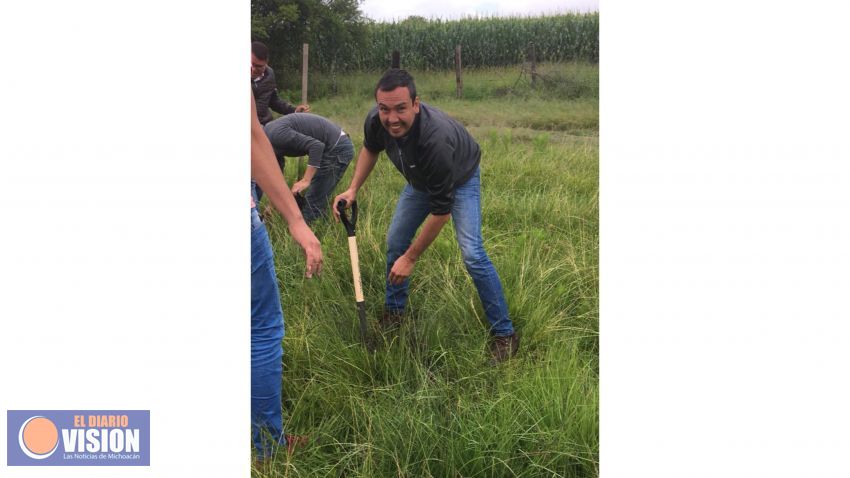 Reforestan más de 10 municipios de Michoacán 